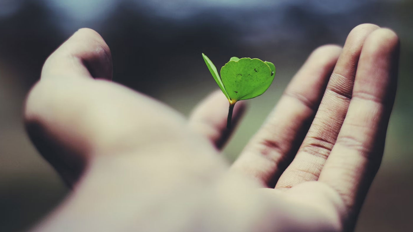  How to Increase Website Traffic? A Guide to 2X Growth